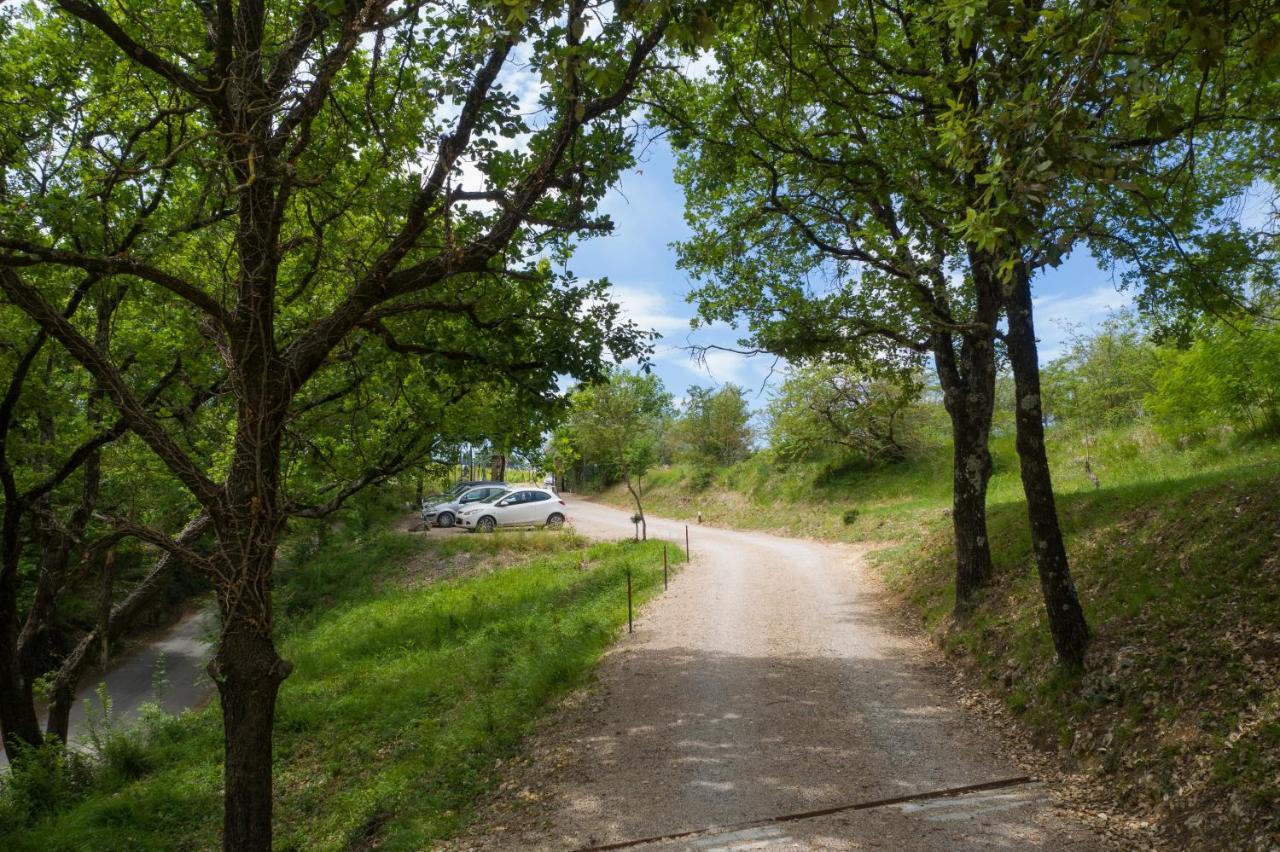 Villa La Coccola Poggibonsi Dış mekan fotoğraf